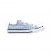 Converse Gingham Chuck Taylor All Star Low Top 670694C