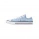 Converse Gingham Chuck Taylor All Star Low Top 670694C